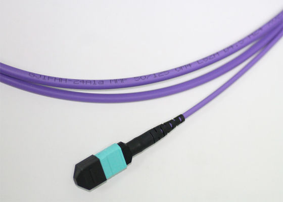 24 Cores Fiber Optic MPO MTP Cable Multimode OM4 OFNP Violet Purple Color